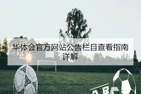 华体会官方网站公告栏目查看指南详解