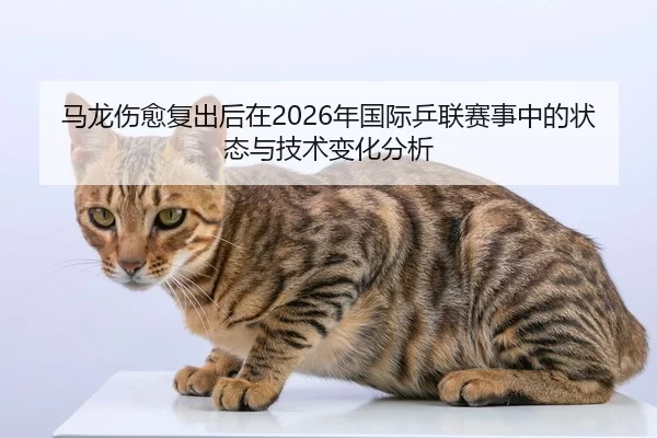 ma-long-shang-yu-fu-chu-hou-zai-nian-guo-ji-ping-lian-sai-shi-zhong-de-zhuang-tai-yu-ji-shu-bian-hua-fen-xi-2-864.jpg