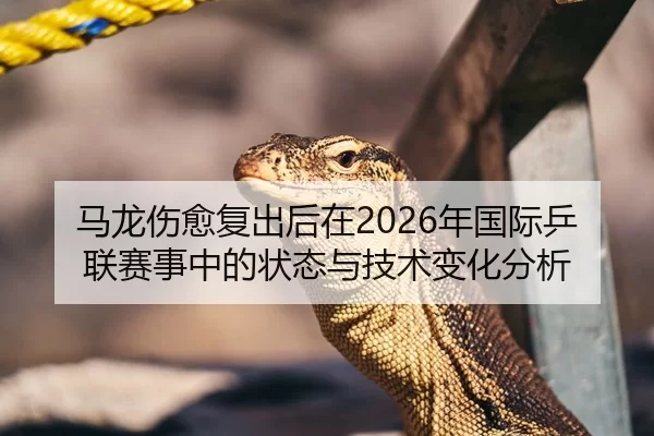 马龙伤愈复出后在2026年国际乒联赛事中的状态与技术变化分析