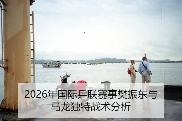 2026年国际乒联赛事樊振东与马龙独特战术分析