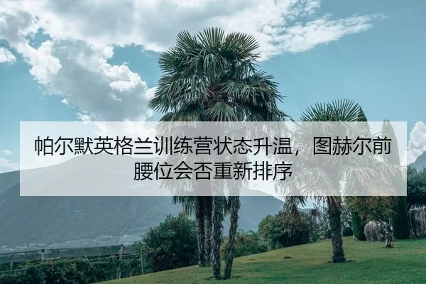 pa-er-mo-ying-ge-lan-xun-lian-ying-zhuang-tai-sheng-wen-tu-he-er-qian-yao-wei-hui-fou-chong-xin-pai-xu-2-537.jpg