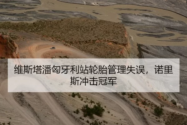 维斯塔潘匈牙利站轮胎管理失误，诺里斯冲击冠军
